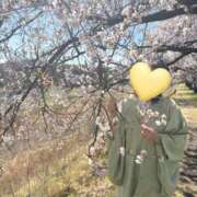 ヒメ日記 2026/04/27 08:55 投稿 はるみ 即アポマダム～名古屋店～