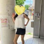 ヒメ日記 2026/06/05 08:11 投稿 はるみ 即アポマダム～名古屋店～