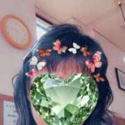 ヒメ日記 2026/06/11 15:33 投稿 はるみ 即アポマダム～名古屋店～