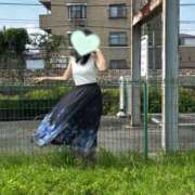 ヒメ日記 2026/07/30 12:01 投稿 はるみ 即アポマダム～名古屋店～