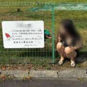 ヒメ日記 2026/09/14 10:21 投稿 はるみ 即アポマダム～名古屋店～