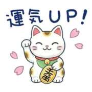 ヒメ日記 2026/09/23 07:11 投稿 はるみ 即アポマダム～名古屋店～