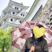 ヒメ日記 2026/09/29 07:11 投稿 はるみ 即アポマダム～名古屋店～