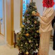 ヒメ日記 2024/12/14 12:22 投稿 はるみ 即アポ奥さん〜名古屋店〜