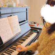 ヒメ日記 2024/12/17 18:41 投稿 はるみ 即アポ奥さん〜名古屋店〜