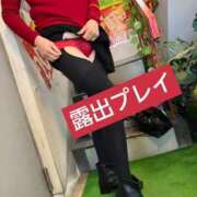 ヒメ日記 2025/03/30 17:51 投稿 はるみ 即アポ奥さん〜名古屋店〜