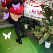 ヒメ日記 2025/03/31 08:51 投稿 はるみ 即アポ奥さん〜名古屋店〜