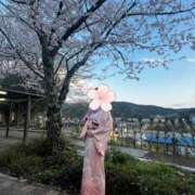 ヒメ日記 2025/04/08 07:41 投稿 はるみ 即アポ奥さん〜名古屋店〜