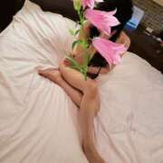 ヒメ日記 2025/05/31 09:47 投稿 はるみ 即アポ奥さん〜名古屋店〜