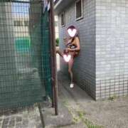 ヒメ日記 2025/06/14 23:01 投稿 はるみ 即アポ奥さん〜名古屋店〜