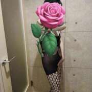 ヒメ日記 2025/07/16 08:11 投稿 はるみ 即アポ奥さん〜名古屋店〜