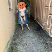 ヒメ日記 2025/09/13 16:08 投稿 はるみ 即アポ奥さん〜名古屋店〜