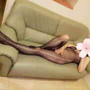 ヒメ日記 2025/10/08 18:51 投稿 はるみ 即アポ奥さん〜名古屋店〜