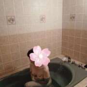 ヒメ日記 2025/10/14 18:21 投稿 はるみ 即アポ奥さん〜名古屋店〜