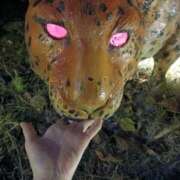 ヒメ日記 2025/11/26 23:31 投稿 はるみ 即アポ奥さん〜名古屋店〜