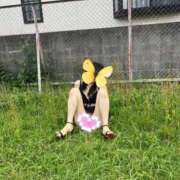 ヒメ日記 2025/12/06 07:41 投稿 はるみ 即アポ奥さん〜名古屋店〜