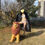 ヒメ日記 2025/12/12 10:02 投稿 はるみ 即アポ奥さん〜名古屋店〜