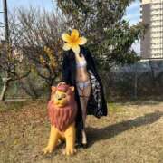 ヒメ日記 2025/12/13 07:51 投稿 はるみ 即アポ奥さん〜名古屋店〜