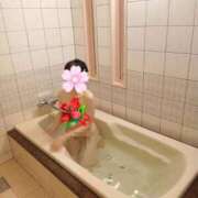 ヒメ日記 2026/01/23 14:41 投稿 はるみ 即アポ奥さん〜名古屋店〜