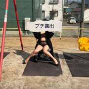 ヒメ日記 2026/02/16 07:41 投稿 はるみ 即アポ奥さん〜名古屋店〜