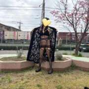 ヒメ日記 2026/03/26 12:45 投稿 はるみ 即アポ奥さん〜名古屋店〜