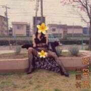 ヒメ日記 2026/03/30 08:41 投稿 はるみ 即アポ奥さん〜名古屋店〜