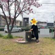 ヒメ日記 2026/04/01 08:41 投稿 はるみ 即アポ奥さん〜名古屋店〜