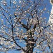 ヒメ日記 2025/04/04 20:21 投稿 いずみ 熟女の風俗最終章 相模原店