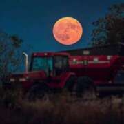 ヒメ日記 2025/09/07 22:01 投稿 いずみ 熟女の風俗最終章 相模原店