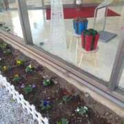 ヒメ日記 2025/12/05 09:26 投稿 いずみ 熟女の風俗最終章 相模原店