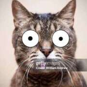 いずみ こんばんは 熟女の風俗最終章 相模原店