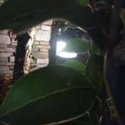 ヒメ日記 2025/01/05 22:21 投稿 いずみ 熟女の風俗最終章 町田店