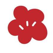 ヒメ日記 2025/04/13 19:51 投稿 いずみ 熟女の風俗最終章 町田店