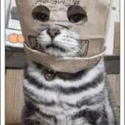 いずみ こんばんは 熟女の風俗最終章 町田店