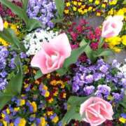 ヒメ日記 2026/03/31 07:50 投稿 いずみ 熟女の風俗最終章 町田店