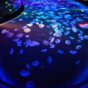 ヒメ日記 2025/01/08 20:45 投稿 まりあ WOWOW UENO HEALTH STATION