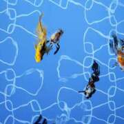 ヒメ日記 2025/01/17 15:45 投稿 まりあ WOWOW UENO HEALTH STATION