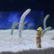 ヒメ日記 2025/01/21 15:08 投稿 まりあ WOWOW UENO HEALTH STATION