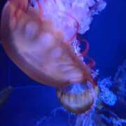 ヒメ日記 2025/01/21 21:01 投稿 まりあ WOWOW UENO HEALTH STATION