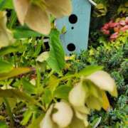 ヒメ日記 2025/01/22 20:25 投稿 まりあ WOWOW UENO HEALTH STATION