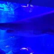 ヒメ日記 2025/01/27 14:53 投稿 まりあ WOWOW UENO HEALTH STATION