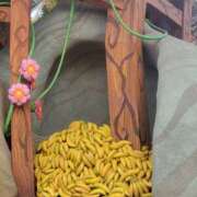 ヒメ日記 2025/03/10 21:13 投稿 まりあ WOWOW UENO HEALTH STATION