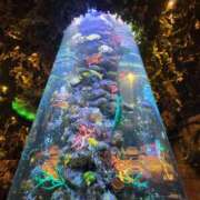 ヒメ日記 2025/03/18 14:07 投稿 まりあ WOWOW UENO HEALTH STATION