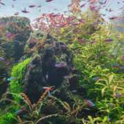 ヒメ日記 2025/04/04 21:31 投稿 まりあ WOWOW UENO HEALTH STATION