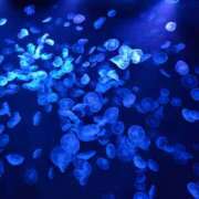 ヒメ日記 2025/04/09 12:57 投稿 まりあ WOWOW UENO HEALTH STATION