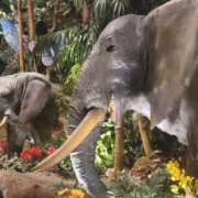 ヒメ日記 2025/05/07 21:31 投稿 まりあ WOWOW UENO HEALTH STATION