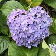ヒメ日記 2025/06/13 22:10 投稿 まりあ WOWOW UENO HEALTH STATION