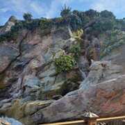 ヒメ日記 2025/07/09 22:06 投稿 まりあ WOWOW UENO HEALTH STATION