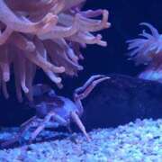 ヒメ日記 2025/07/16 19:51 投稿 まりあ WOWOW UENO HEALTH STATION