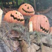 ヒメ日記 2025/09/26 12:49 投稿 まりあ WOWOW UENO HEALTH STATION